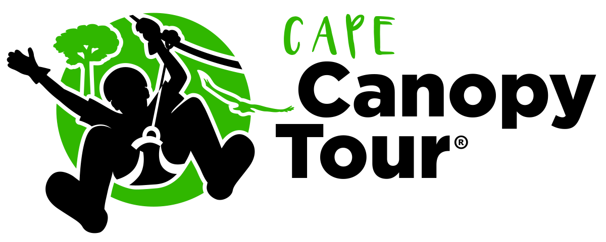 Cape Canopy Tour